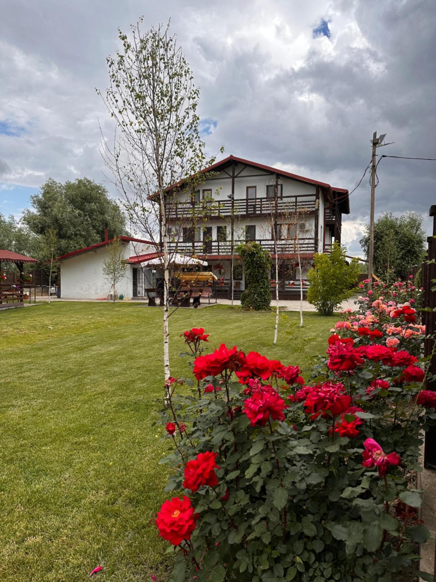 Casa Carp Calarasi Hotel Exterior photo